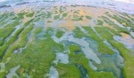 昌江新闻爆料最新消息视频,视频揭露惊人内幕！